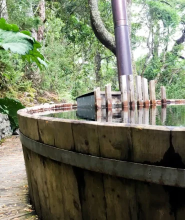 0c5cd452-6235-40f8-858f-7e43841d98ab