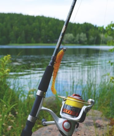 fishing, fishing gear, fishing rod-887523.jpg